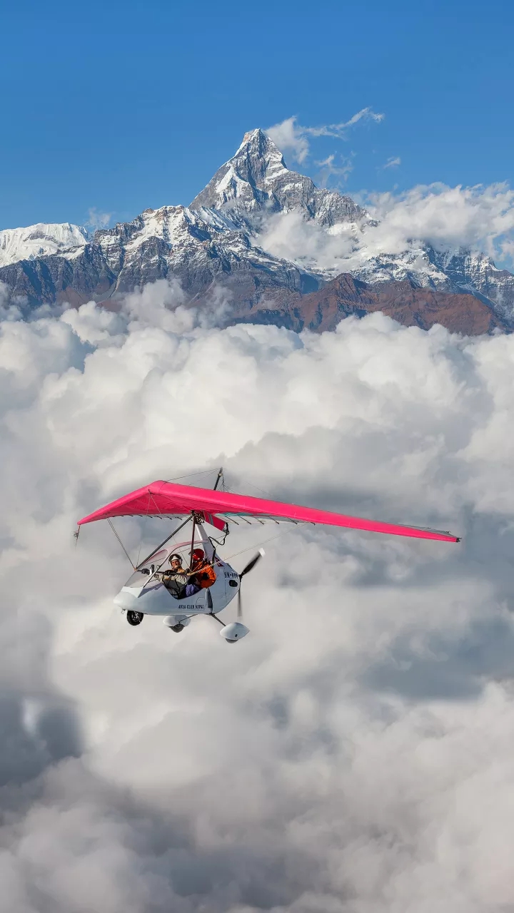 Fly like a bird
