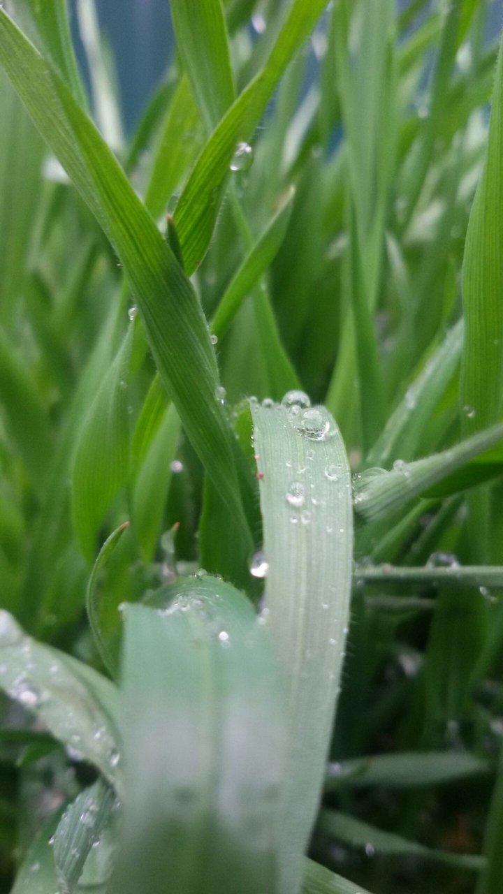 after rain