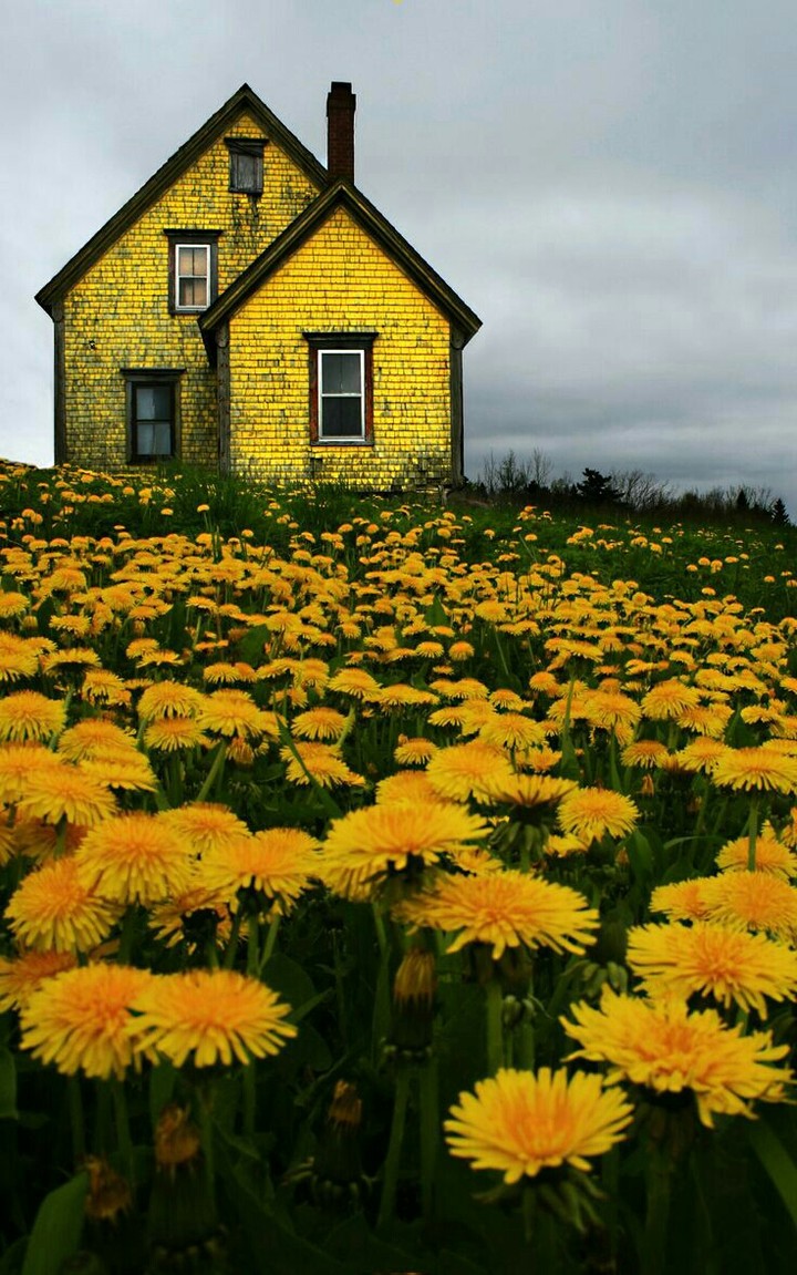 Abandoned House