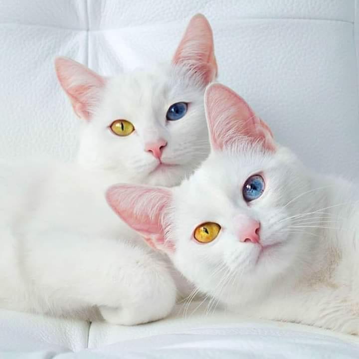 ❤