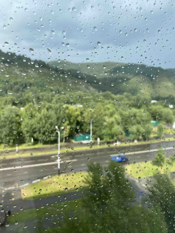 nice day