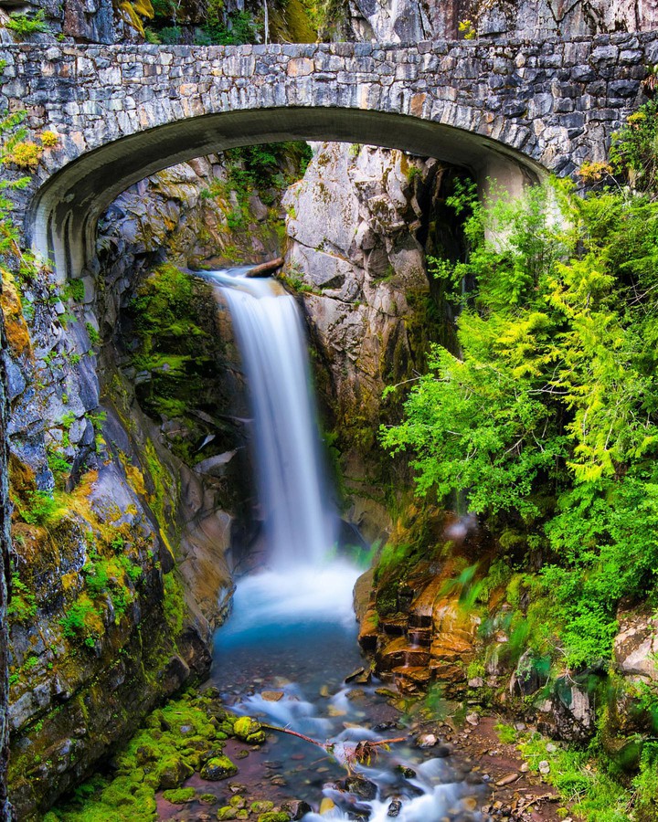 nature
