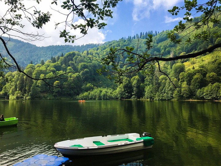 Get lost in the green...