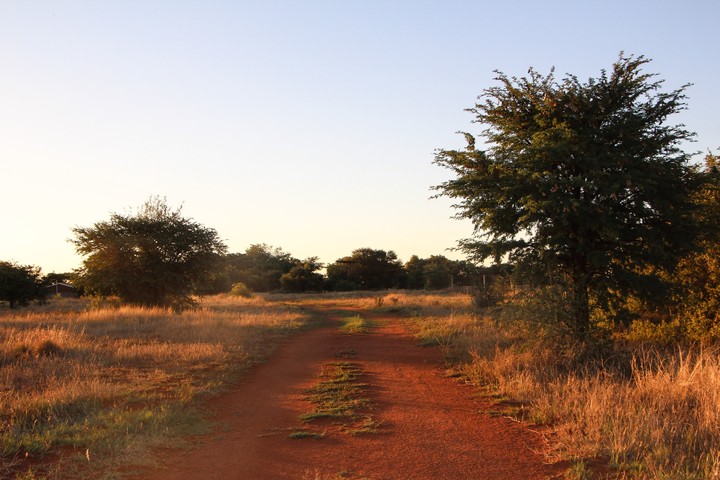 Red soil