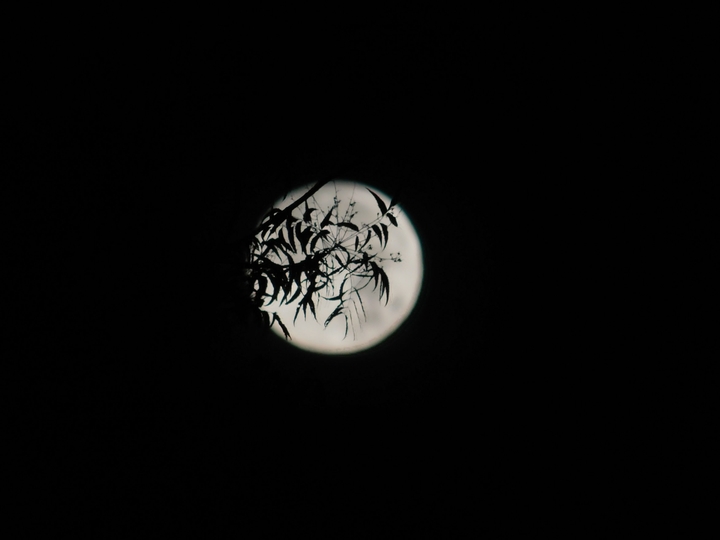 #shadow #moon