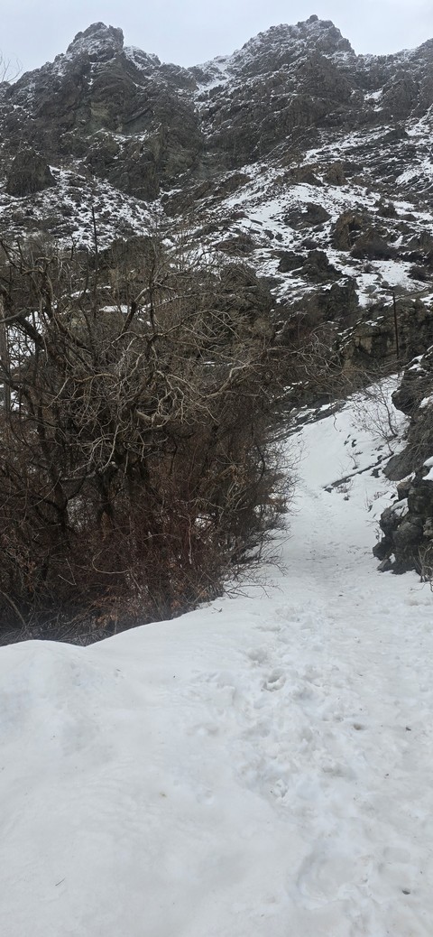 тапети Wilderness, winter
