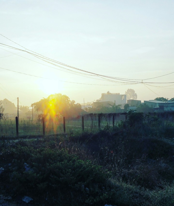 Dawn