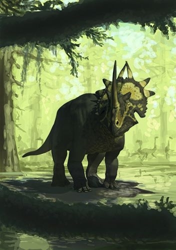 triceratops