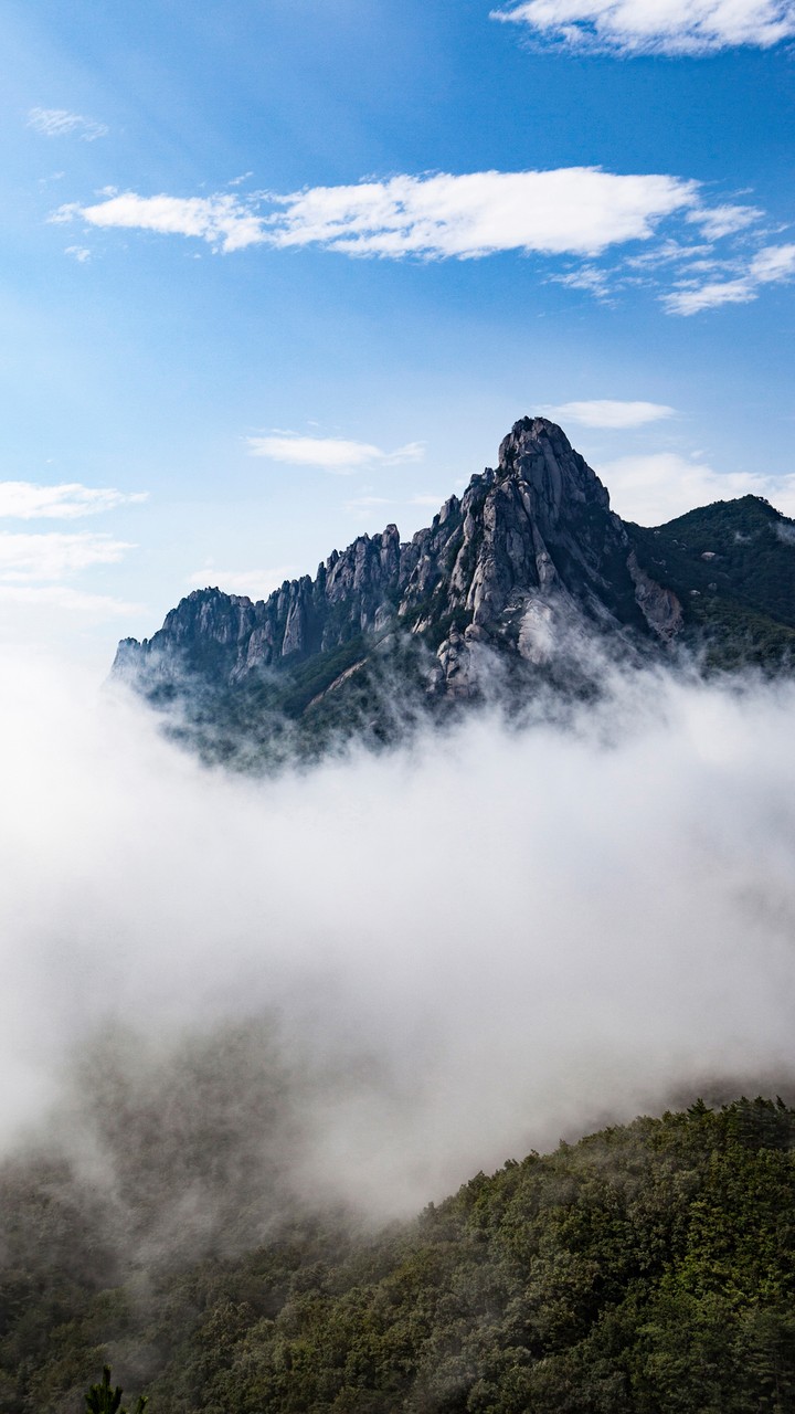 Mountain