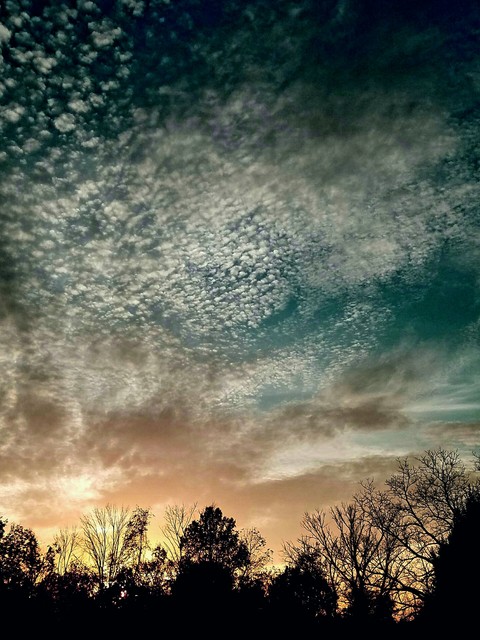 Zealous Clouds