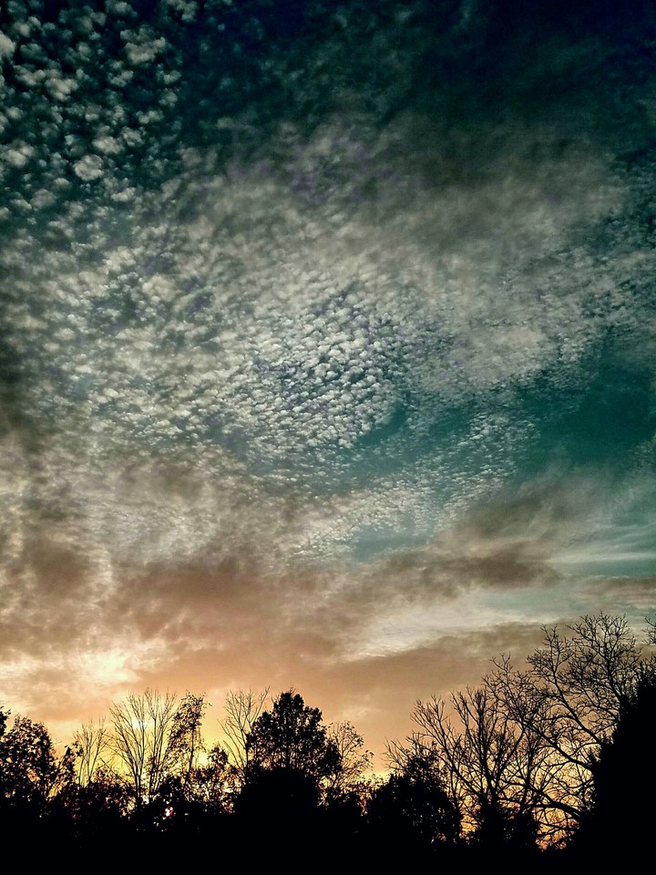 Zealous Clouds