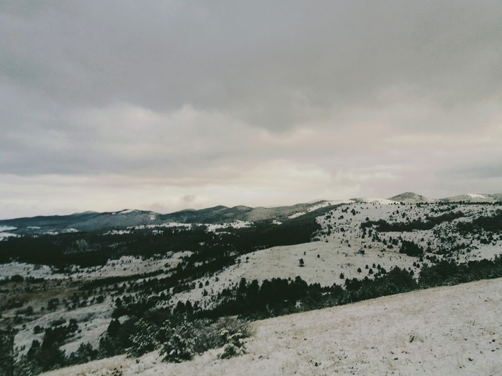 Razgled