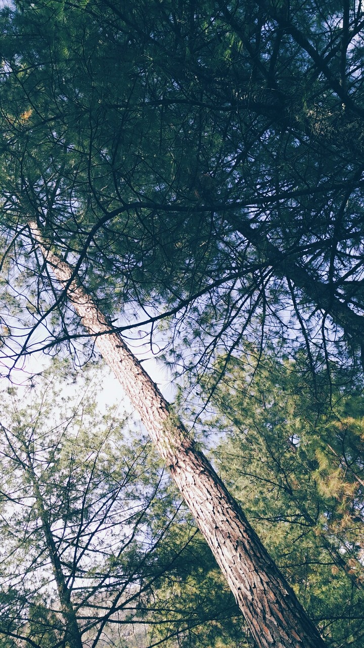 Kasol