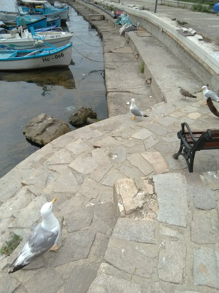 ?