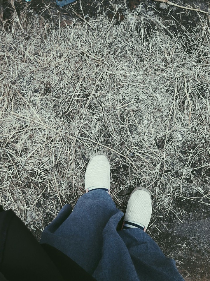 Let me just go.