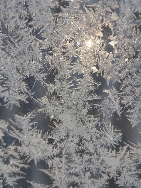 tapety freezing, winter