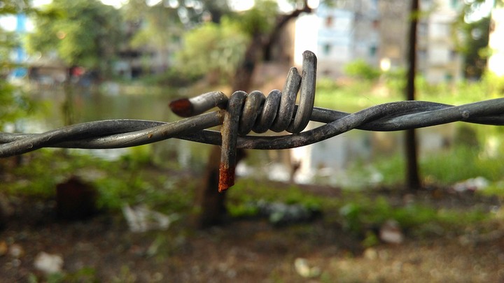 don't cross it