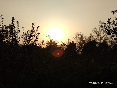 Sunrise