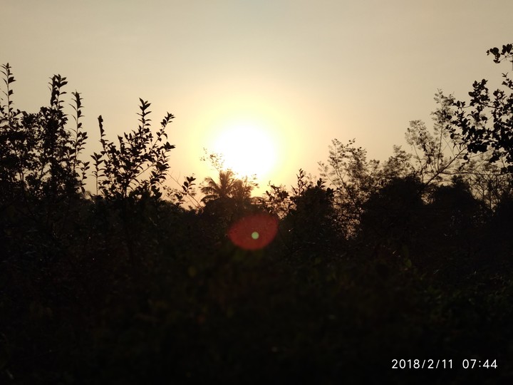 Sunrise