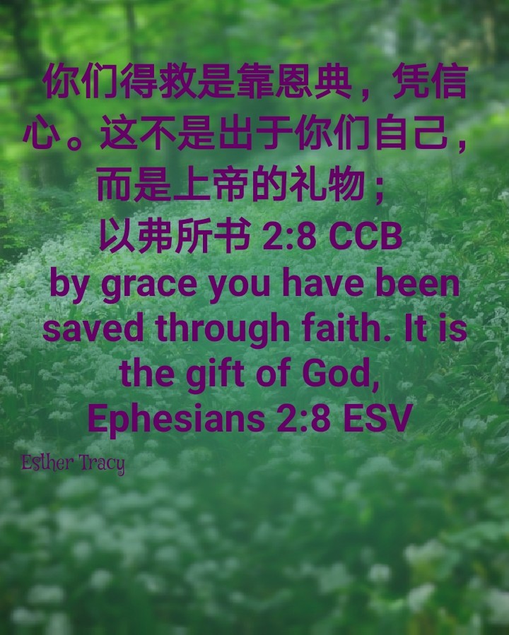 by the grace you have been saved