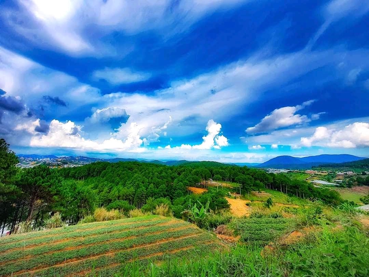 blue sky