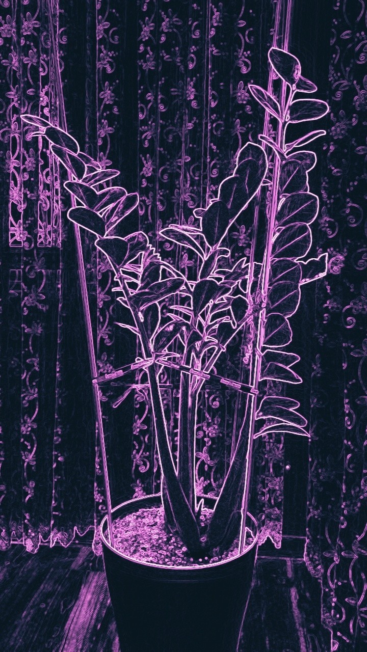 Flower 2