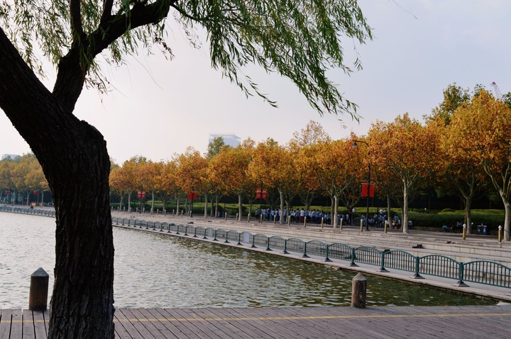 autumn in shanghai