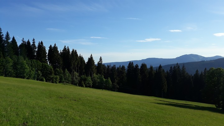 Sumava Czech republic