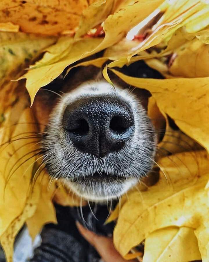 :3