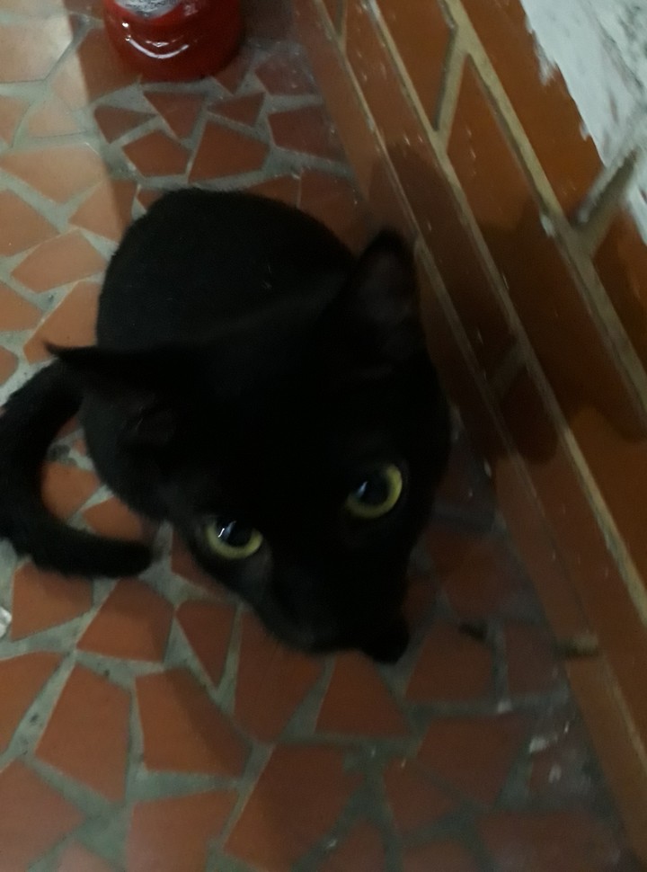 peta-peta
