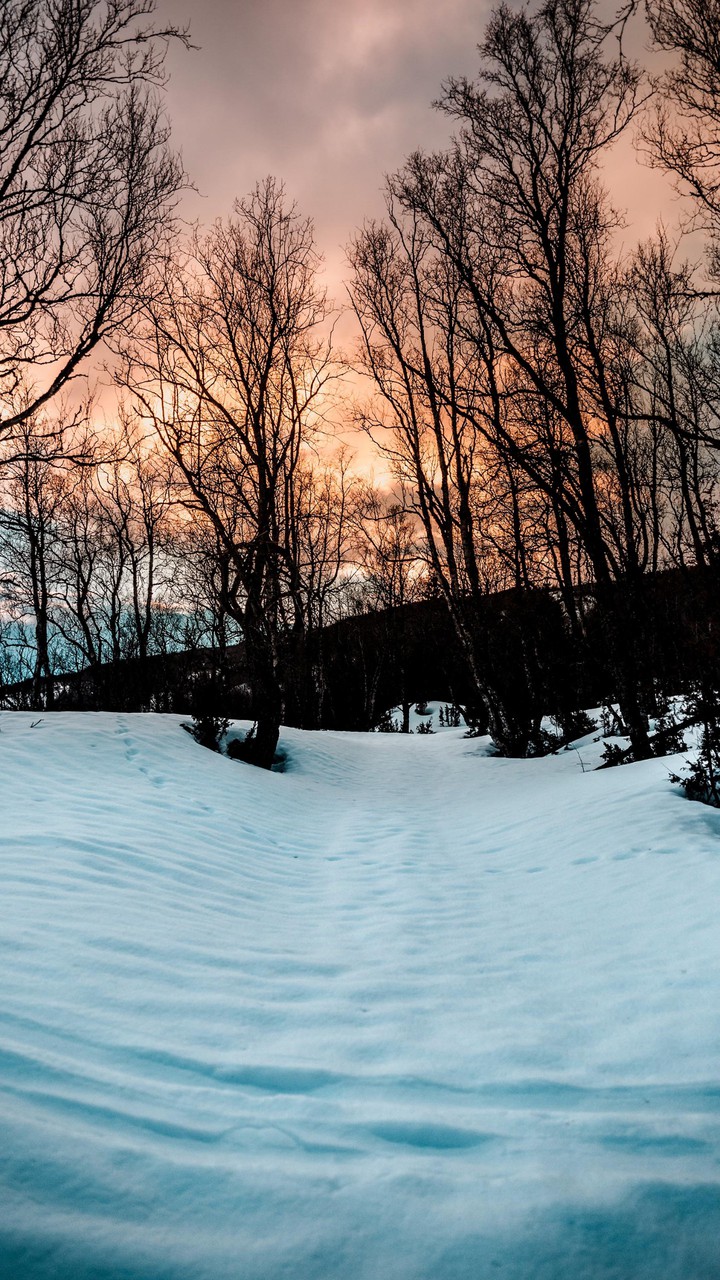 winter