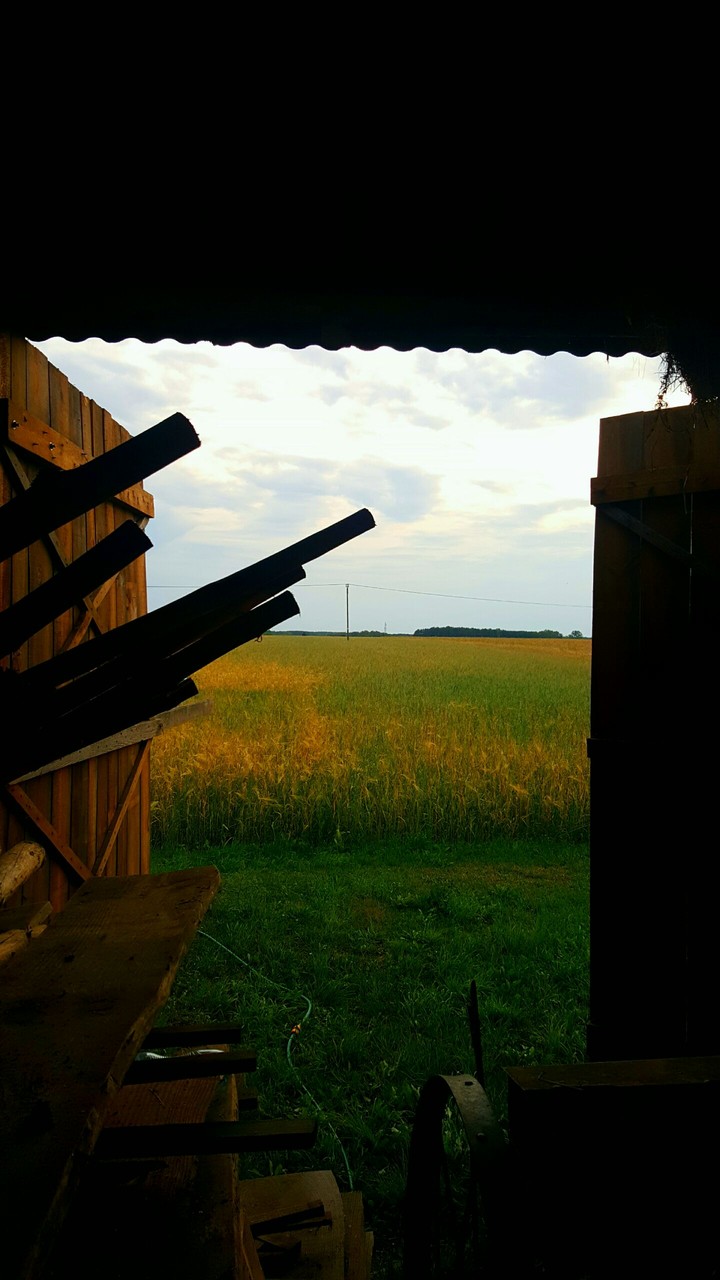 country life