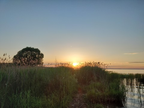 tapety sunrise, marsh
