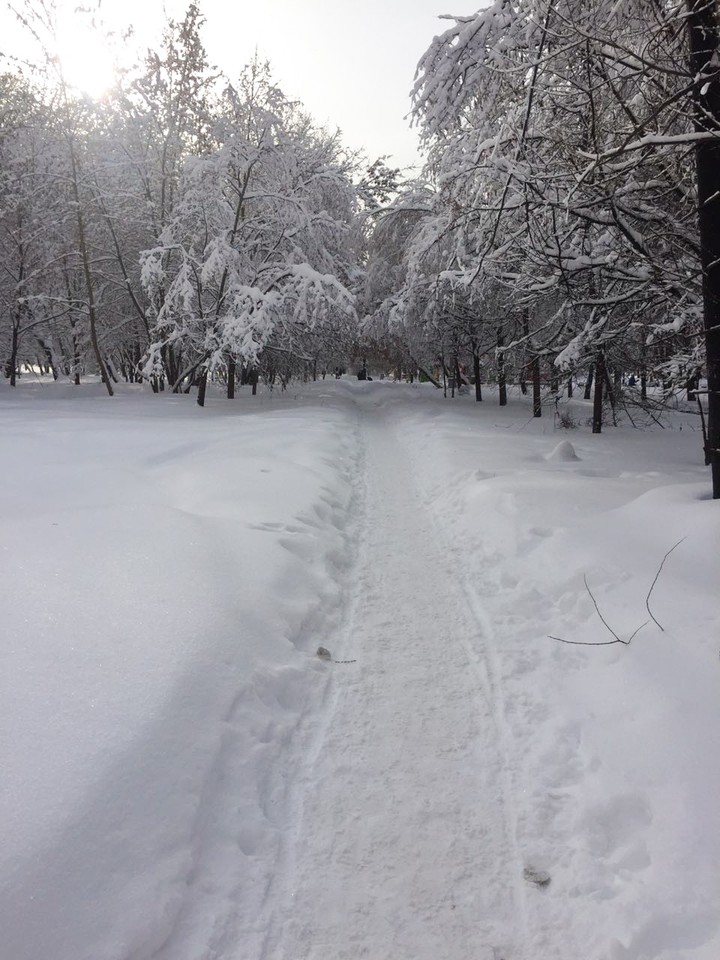 *winter park*