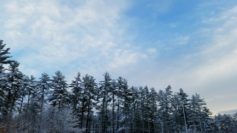 First Snow of the Year