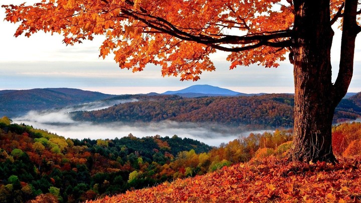 Autumn