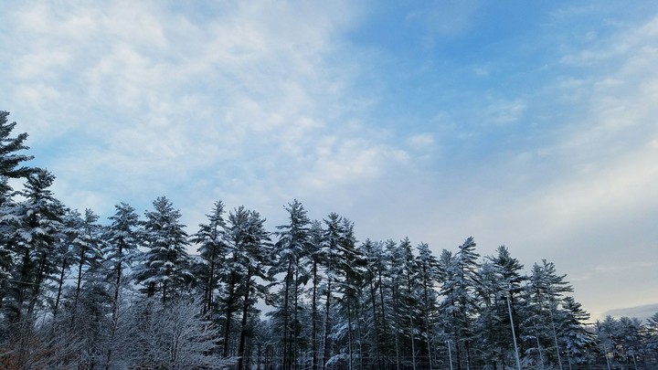 First Snow of the Year