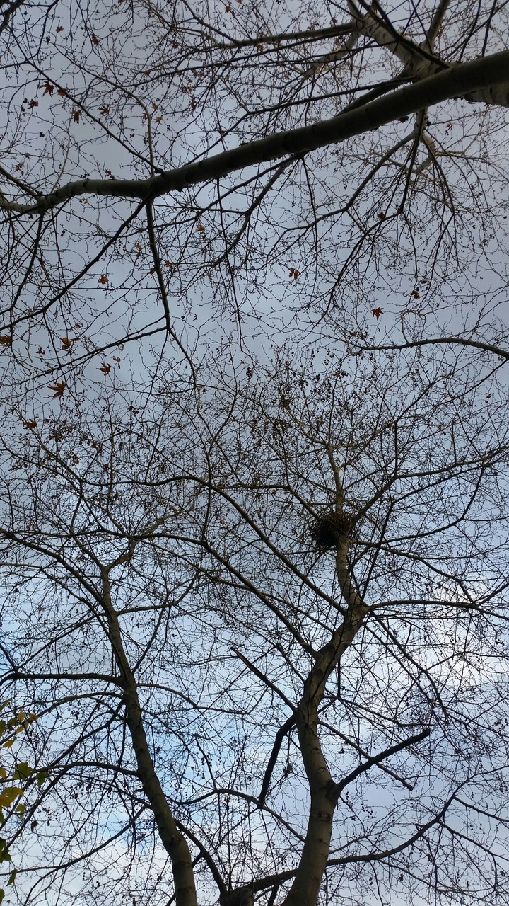 Sonbahar / Autumn