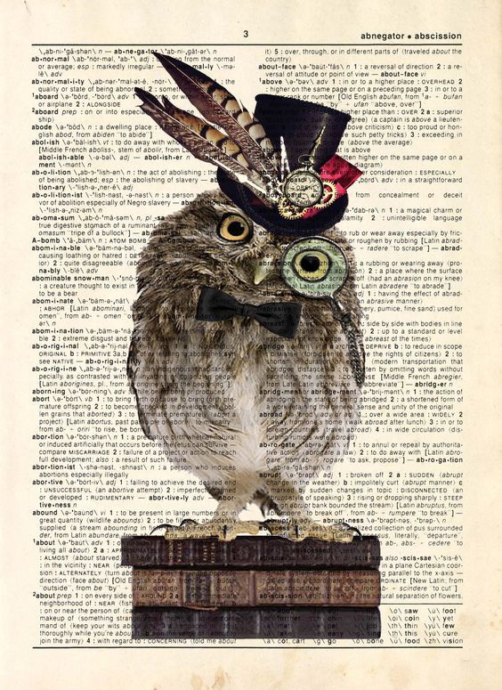 Owl?