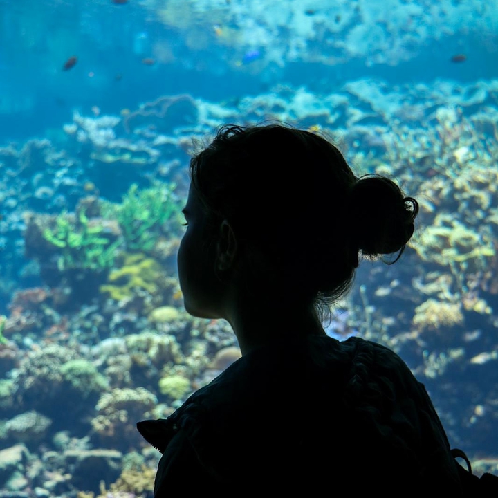 Aquarium