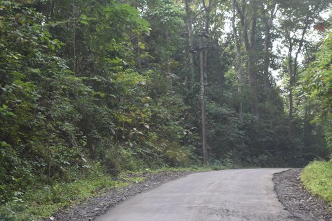 Road's