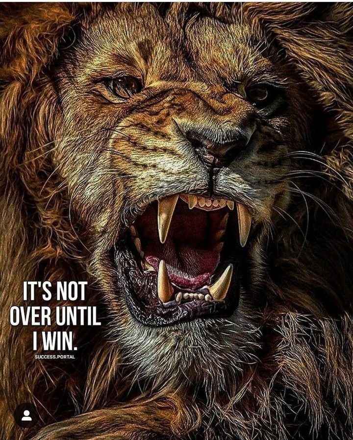 motivation