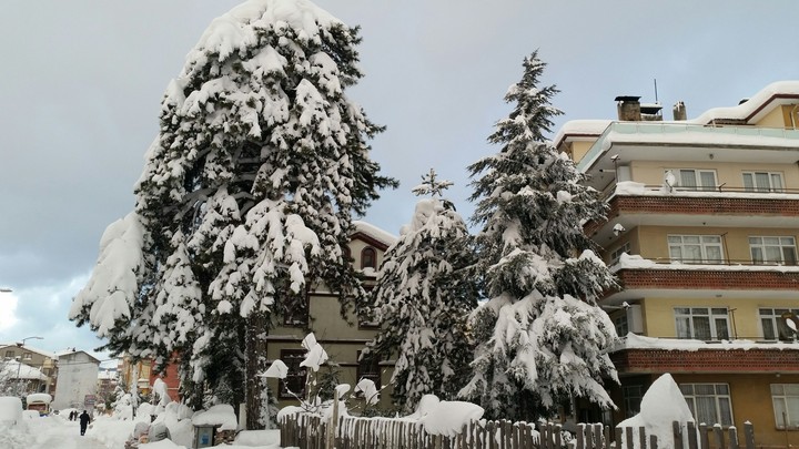 Kış