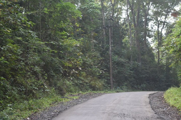 Road's