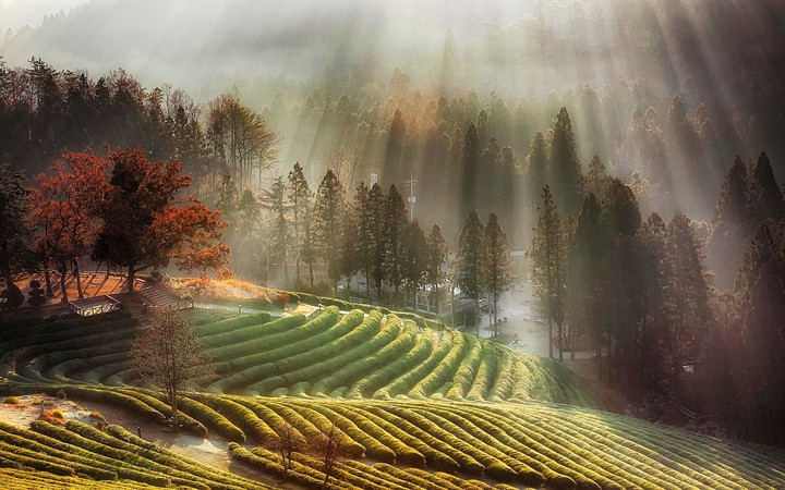 beautiful picture...