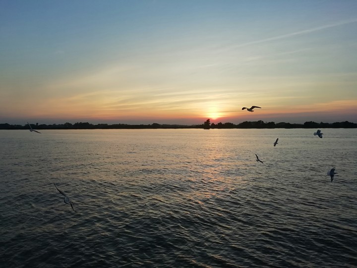 Crazy Sunset