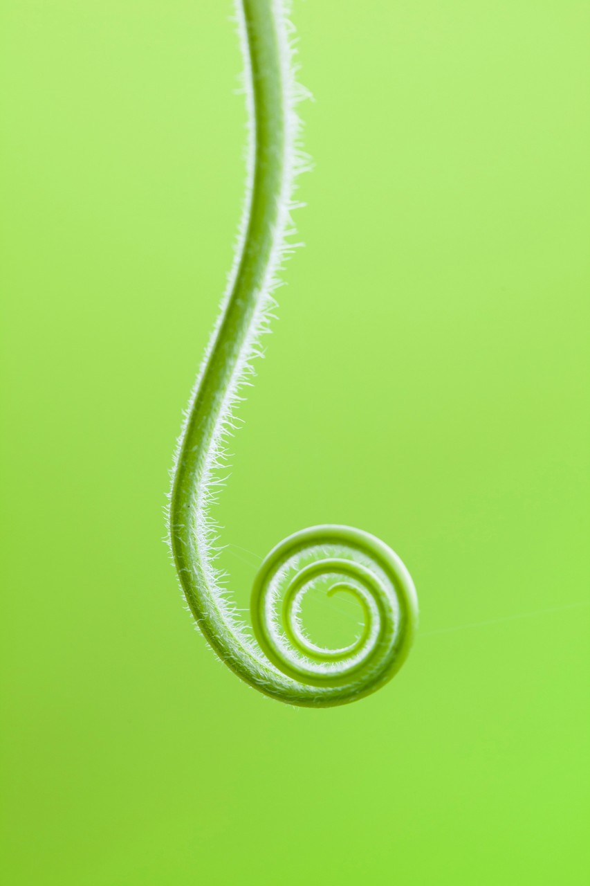 Circle
