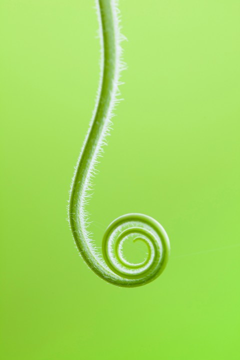 Circle