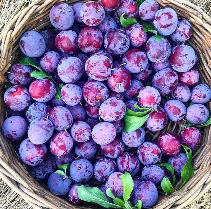 plums