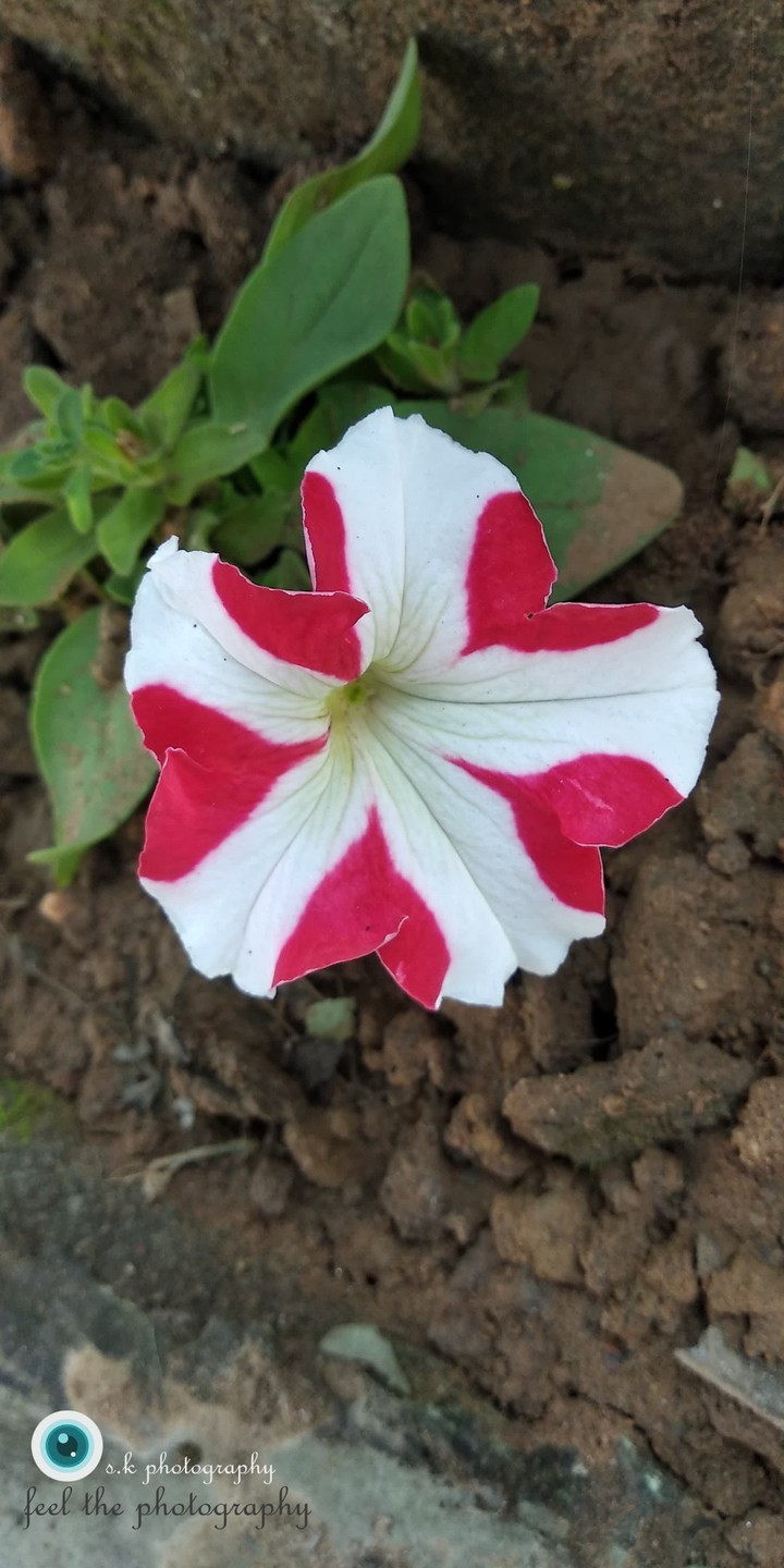 mix colour